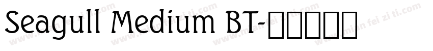 Seagull Medium BT字体转换